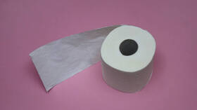 In Canada, there is a high demand for multi-purpose toilet paper.