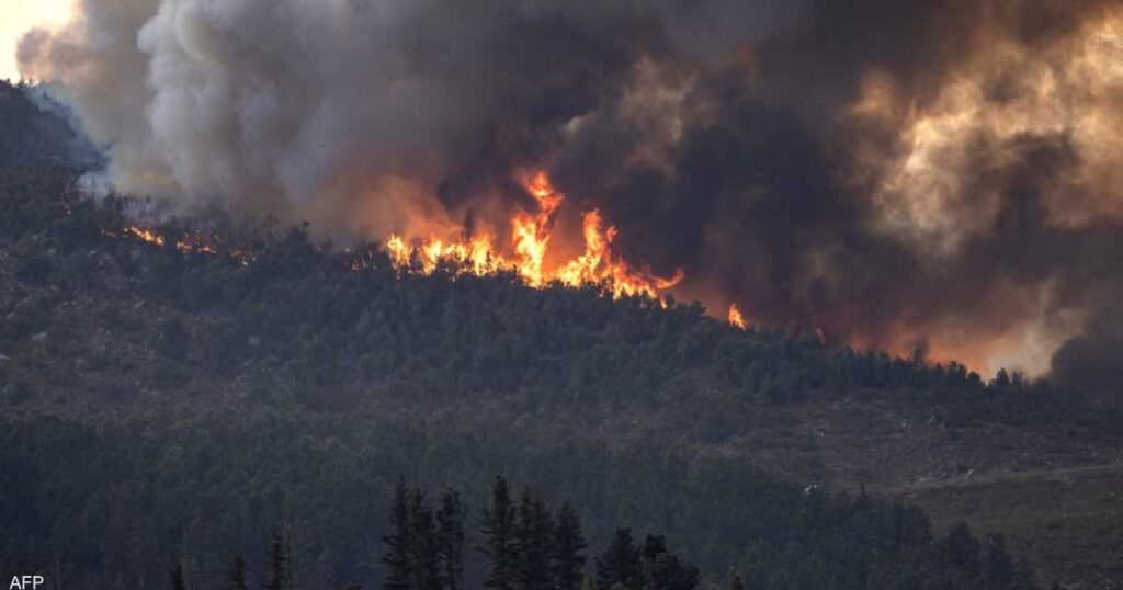 Forest fires in Morocco..Environmental impacts and loss of livelihoods