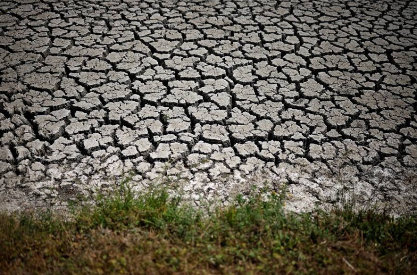 Europe faces its worst drought in 500 years