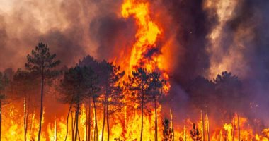 Russia: 52 forest fires extinguished in a day