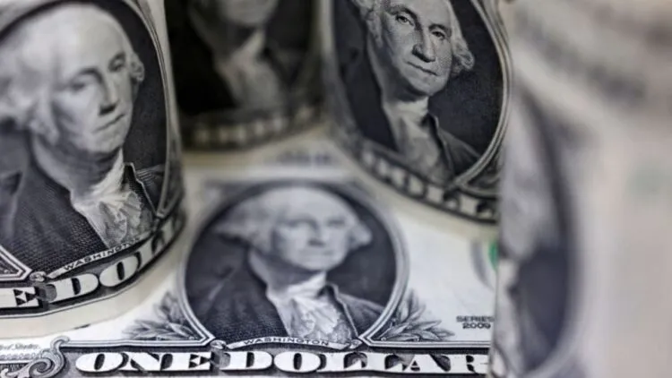 The dollar climbs to its highest level in two decades