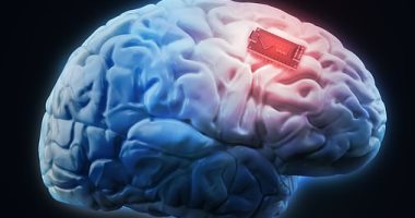 Can brain slices be used to control crime?