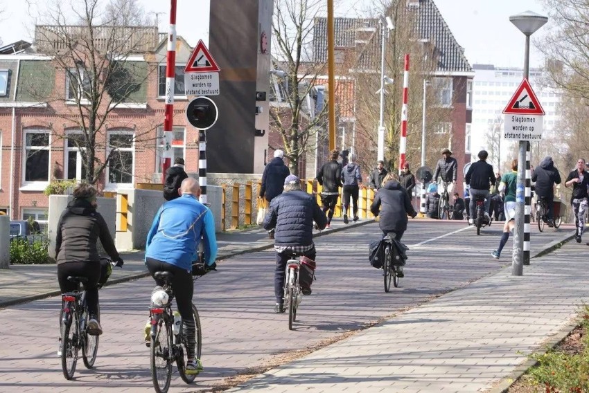 Cycling may significantly reduce carbon emissions.