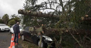 In Austria, severe storms killed five people.