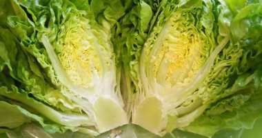 CDC: Romaine Lettuce Added to Sandwiches Causes Escherichia Coli Bacteria