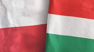 Hungary and Poland oppose the European Union’s plan to reduce gas consumption