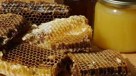 Health benefits and harms of bee honey