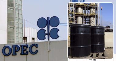 The price of the daily “OPEC” basket of crudes stabilized at 89.81 dollars per barrel