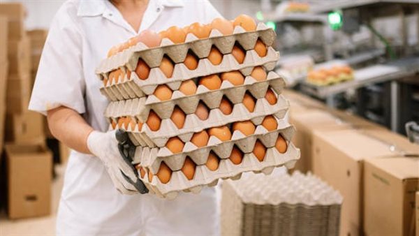 The stability of eggs and poultry prices in the markets today, Monday, October 3, 2022