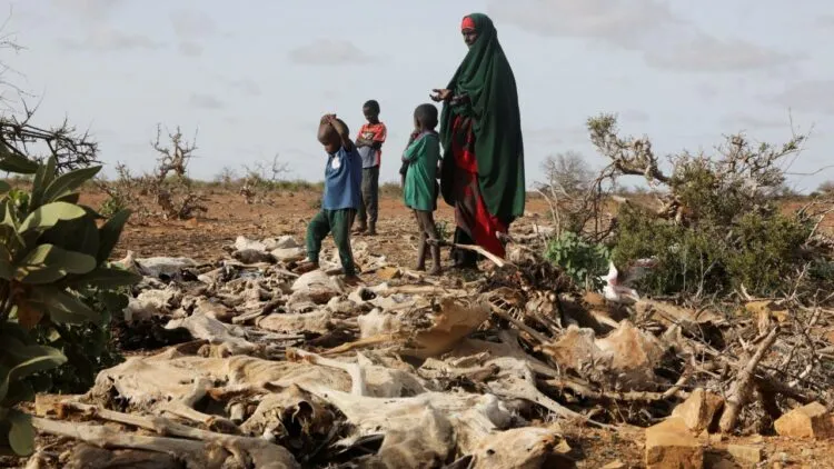 Al-Shabaab group kills 12 people while digging a well in Somalia