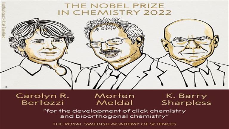 Someone won it for the second time.. The Nobel Prize in Chemistry goes to three who made the jewel in the crown of science