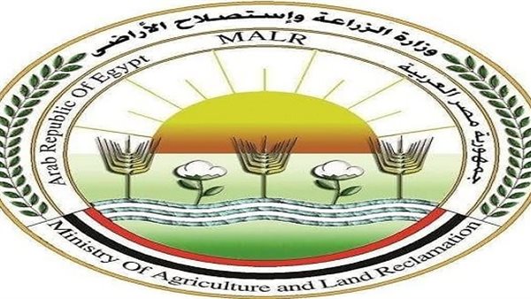 For the first time, Egypt’s agricultural exports exceed 5 million tons