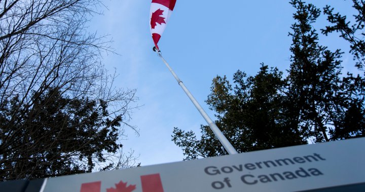 Global Affairs Canada mismanaged executive who mocked colleagues, slapped staff: watchdog