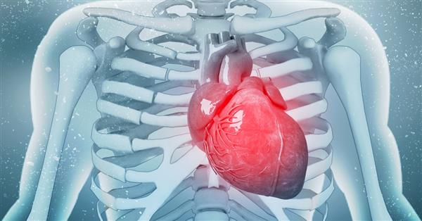 American scientists have found a protein that can heal damaged heart muscle