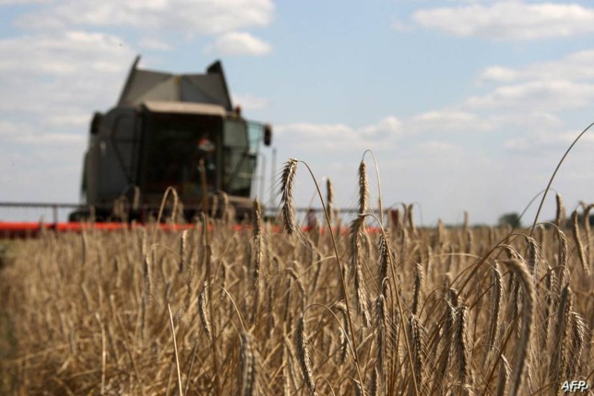 A train loaded with Ukrainian grain arrives in Spain