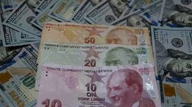 Newspaper: Turkey’s central bank stops selling foreign currencies