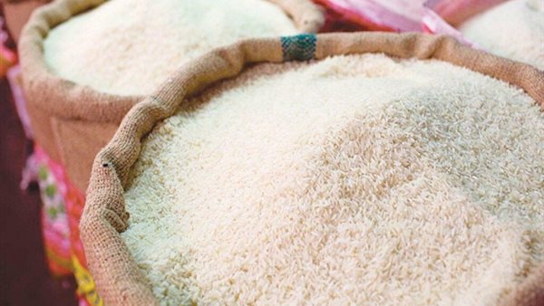 Urgent.. Sources reveal to “Al-Fajr” the fate of rice prices during the coming period