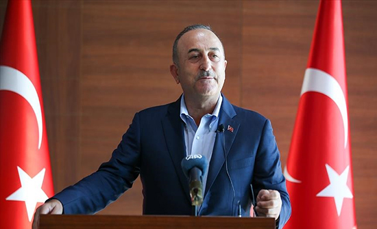 Cavusoglu: Turkey is the country most striving to end the Russian-Ukrainian conflict