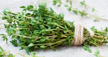 It will improve your mood and strengthen your immunity.. Know the benefits of thyme for your body