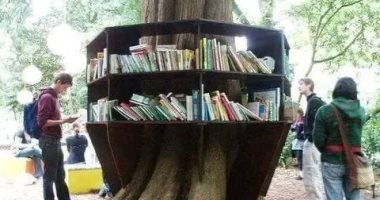 Environmental friendly gardens incite to read outdoors .. Pictures