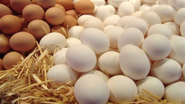 Poultry prices continue to rise .. The price of egg carton exceeds 80 pounds