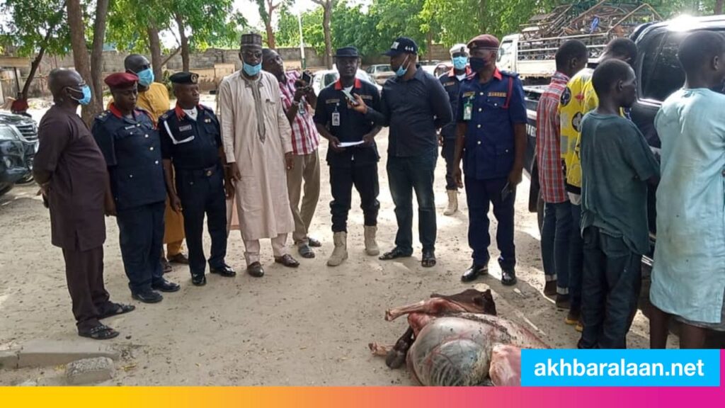 They tried to sell dead beef .. 4 men in the grip of Nigerian security