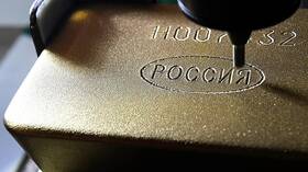 Russia .. Foreign reserves of currencies and gold rises to 548.7 billion dollars within a week