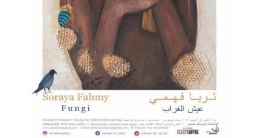 The opening of my exhibitions, Amina El -Demerdash, and Three Fahmy, Zamalek Gallery .. Sunday