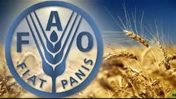 FAO: Breaking food chains may lead to a lack of fertilizers in the next year