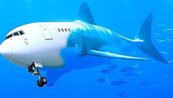 Switzerland: Shark skin reduces the consumption of aircraft fuel