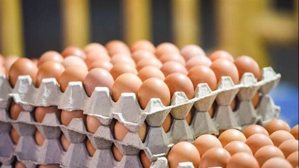 Urgent .. the first comment from the Ministry of Supply on the egg price crisis