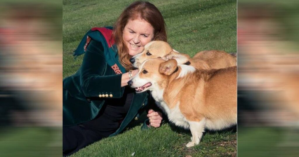 Sarah Ferguson posts first photos of Queen’s corgis since her death