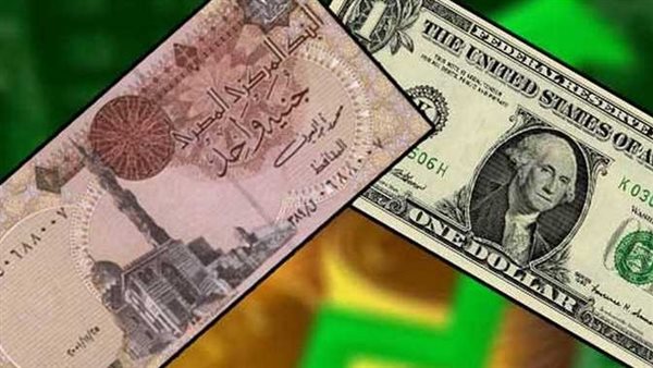 Al-Fajr publishes currency rates against the pound during evening transactions today, Monday, 10-20-2022