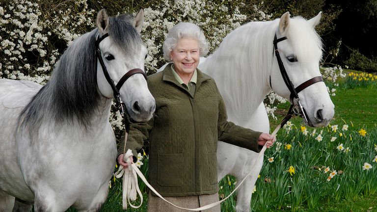 His mother’s favorite was .. Why did Charles intend to sell a third of the horses of Queen Elizabeth?