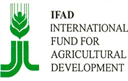 The Tunisian Minister of Economy discusses with an official in the International Fund for Agricultural Development, ways of cooperation