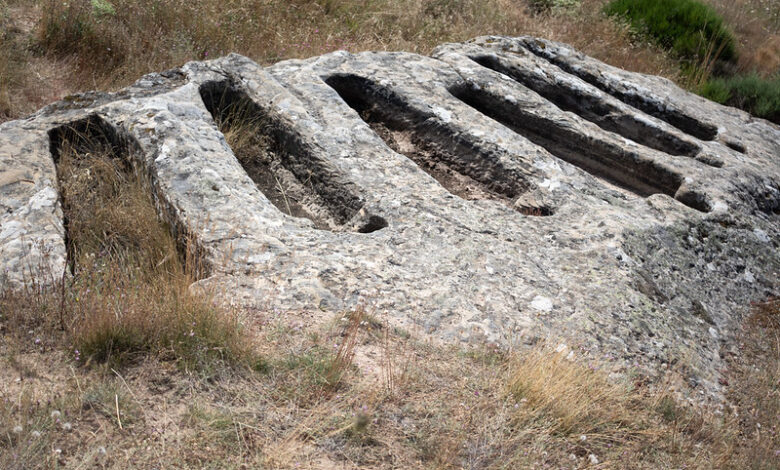 Spain intends to recover the remains of the victims of the civil war from all mass graves