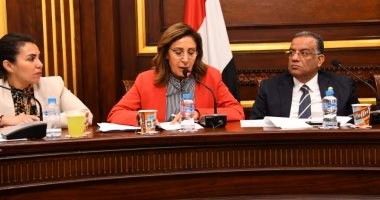 The Minister of Culture reviews the ministry’s plan for the Culture Committee of the Senate