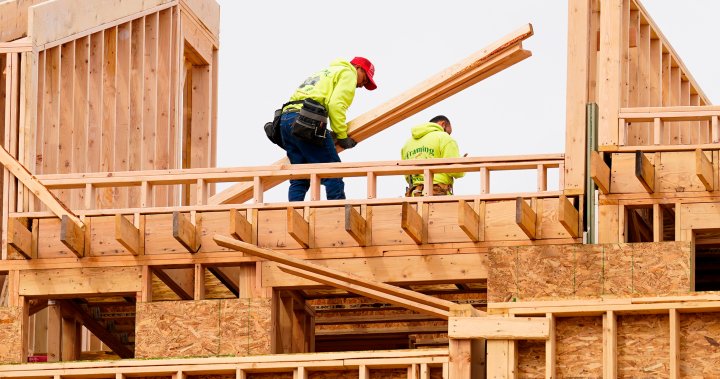 Alberta construction industry bankrolls scholarships to shore up worker shortages