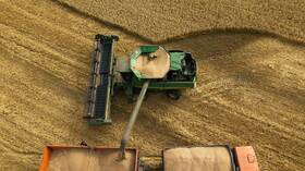 The grain crop in Russia sets a historic record