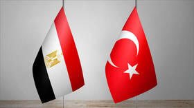 Egypt issues a decision to solve all commercial problems with Turkey