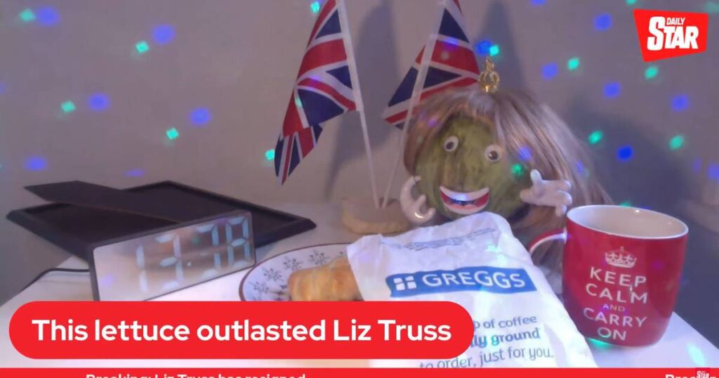 Lettuce outlasts Liz Truss following her resignation