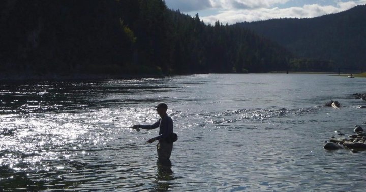 First Nations angered by delays in joint probe of cross-border contamination from coal mines