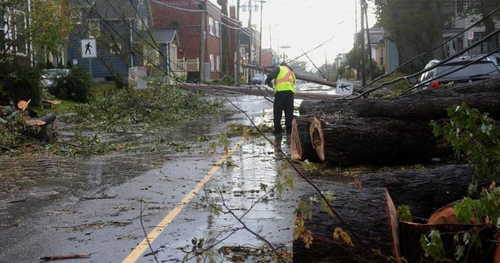 Saskatchewan sending firefighters, equipment to support P.E.I. storm response efforts