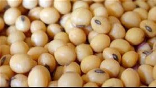 Expectations of global soybeans production to exceed 352 million tons