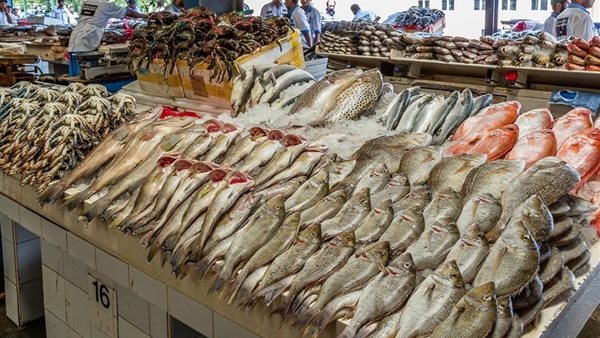 Learn about fish prices today, Sunday, October 23, 2022 in the Egyptian market