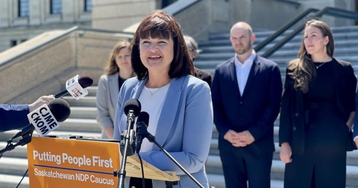 Saskatchewan NDP leader gives first convention speech since taking the helm