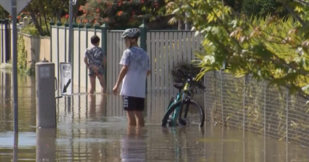 New South Wales floods cause $190 million crop damage