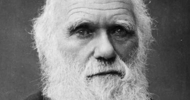 Offer a rare manuscript for Charles Darwin for sale for $ 700,000