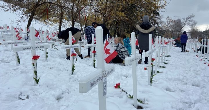 ‘The future is in good hands’: Calgary students lay poppies to honour fallen soldiers