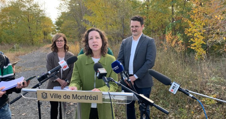 Montreal purchases green space from Hydro-Québec